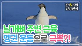 날개뼈 주변 근육 '펭귄처럼 뒤뚱뒤뚱'으로 극복?!