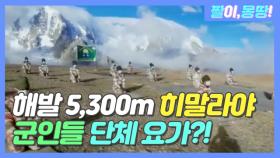 해발 5,300m 히말라야에서 군인들 '단체 요가'?!