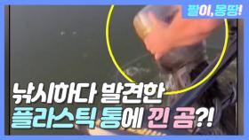 낚시하다 발견한 '플라스틱 통' 뒤집어쓴 곰?!