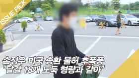 손정우 미국 송환 불허 후폭풍 ＂달걀 18개 도둑 형량과 같아＂