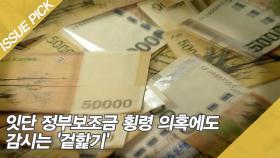 잇단 정부보조금 횡령 의혹에도 감시는 '겉핥기'