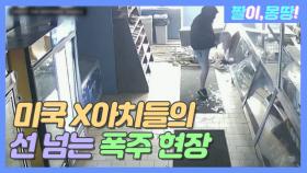 미국 양아치들의 선 넘는 폭주