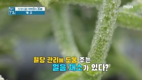 여름철 치솟는 혈당! '얼음 채소'로 다스려라