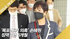 '목포 투기 의혹' 손혜원에 징역 1년 6개월…구속은 면해