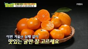 무른 귤 no! 단 맛까지 높이는 ＜귤＞ 오래오래 보관하는 법!! MBN 210103 방송