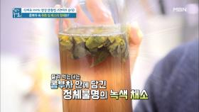 해독에 좋은 콤부차 속 푸른 잎 채소의 정체는? MBN 201204 방송