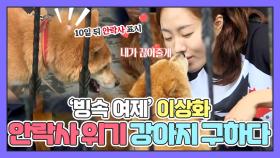 이상화, 안락사 위기 강아지를 구하다! 