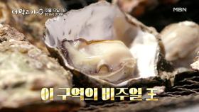 [선공개] 강호동, 즉석 굴 구이 맛에 실신?! '비주얼+사운드+맛' 삼위일체 - 더 먹고 가(家) / 12월 13일(일) 밤 9시 20분 방송 MBN 201213 방송