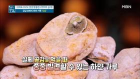 곶감 표면의 하얀 가루, 그 속에 숨겨진 효능은!? MBN 201225 방송