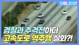 경찰과 추격전하다 '고속도로 역주행' 실화?!