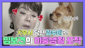 김수미 '犬무시' 당하다?!ㅋㅋㅋㅋ 댕댕이의 이중생활 포착! [우리집에해피가왔다] MBN 201211 방송