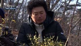 ＂콧물 같은데요...?＂ 겨우살이 먹은 윤택의 충격적 소감 평? MBN 201223 방송