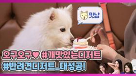 요섹남의 '디저트' 먹는 우리 강아지♥ 당장 인★그램 각ㅠㅠ MBN 200909 방송