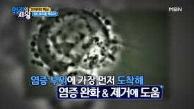＂암세포＂까지 공격하는 ＂면역세포＂가 있다?! MBN 201020 방송