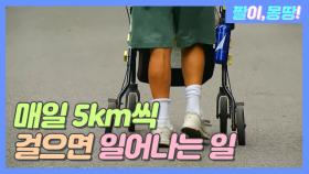 매일 5km씩 걸으면 일어나는 일!