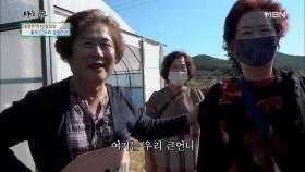 ＂형부가 횡재했지!＂ 열혈 장모의 든든한 지원군들 등장! MBN 201103 방송