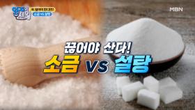 끊어야 산다! 소금 vs 설탕! 여러분의 선택은? MBN 201103 방송