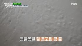 손두부 맛의 비밀 전격 공개! MBN 210115 방송