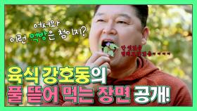 '육식파' 강호동의 ⭐풀 뜯어 먹는 먹방⭐ 공개!!! | 더 먹고 가 EP1 MBN 200818 방송