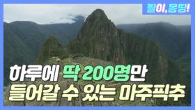 하루에 딱 