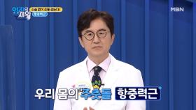 들어는 봤니? 허리 통증의 해결책~ 항중력근! MBN 210202 방송