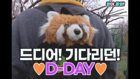 드디어! 기다리던 D-DAY!!!! /(@^0^@)/