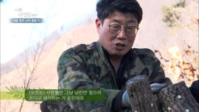 산중 생활에 낭만만 있는 것은 아니다! 자연인의 부지런한 산중 생활 공개! MBN 210224 방송
