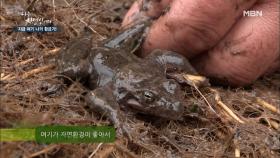 ※깜놀주의※ 자연인의 용천수에서 만난 반가운 친구들(?) MBN 210224 방송