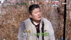 노사연의 특별 선물! “개복숭아... 뭔데 맛있어...?” MBN 210228 방송