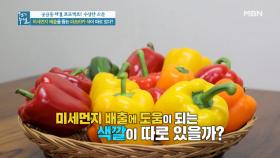 미세먼지 배출? 항산화 성분? 색깔별 영양 맞춤 파프리카 선택법! MBN 210319 방송