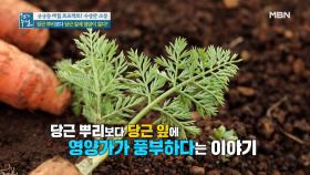 버리지 마세요, 몸에 양보하세요! 뿌리보다 영양 풍부한 당근 잎의 재발견 MBN 210402 방송