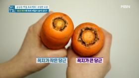 큰 당근? 작은 당근? 맛있는 당근 구별법, ○○에 주목하라! MBN 210402 방송