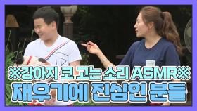 ※강아지 코 고는 소리 ASMR※ 강아지들 재우기 만렙인 이상화와 윤후!? MBN 180806 방송