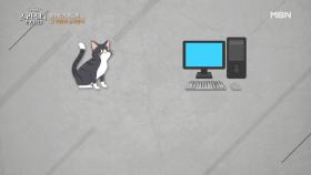 김경일 교수의 심리 테스트! “컴퓨터와 고양이의 차이점은?” MBN 210408 방송