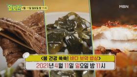 ＜봄 건강 쑥쑥! 바다 보약 밥상＞ MBN 210411 방송