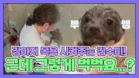 강아지 목욕 시켜주는 김수미! 근데... 머리부터 발끝까지 벅벅....? MBN 180924 방송