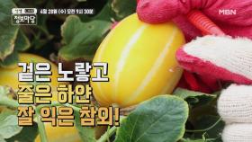 생생 정보마당 [870회] - 실속 있는 수요일 MBN 210428 방송