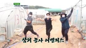 성주에 어벤저스가 나타났다? 2세대 참외 재배 어벤저스!!! MBN 210428 방송