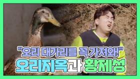 ＂오리 대가리를 못 가져오면 올 생각을 하지 마!＂ 오리 지옥에 갇힌 황제성?! MBN 201122 방송