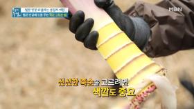 ☆색깔로 알아보는 좋은 죽순 고르는 법☆ (죽순의 맛있는 부위는?) MBN 210507 방송