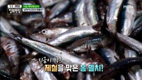 꼭꼭 숨은 멸치를 찾아라! MBN 210507 방송