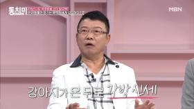 개그맨 김한국, 강아지 때문에 각방 신세 지는 중이다? MBN 210508 방송