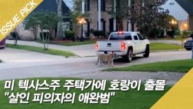 미 텍사스주 주택가에 호랑이 출몰, ＂살인 피의자의 애완범＂ [이슈픽]