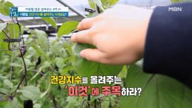 여름철, 건강 지수 올려주는 '이것'에 주목하라? MBN 210528 방송