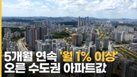 5개월 연속 '월 1% 이상' 오른 수도권 아파트값 18년 만에 처음 [이슈픽]