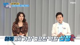 건강하고 싶다면! 신장을 지켜라?! MBN 210615 방송