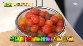 ＜토마토절임＞ 색토마토는 데치지 말고 이렇게 하세요~ MBN 210620 방송