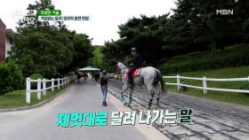 내겐 너무 소중한 말♥ MBN 210622 방송