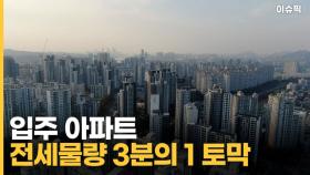 상승폭 커지는 전세값 입주 아파트 전세물량도 3분의 1 토막 [이슈픽]