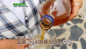 꽃사과를 관상용이 아닌 다른 용도로 사용한다? MBN 210630 방송